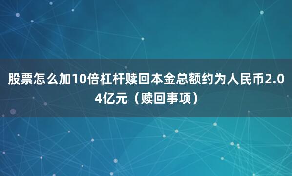 股票怎么加10倍杠杆赎回本金总额约为人民币2.04亿元（赎回事项）