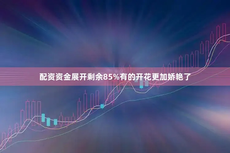配资资金展开剩余85%有的开花更加娇艳了