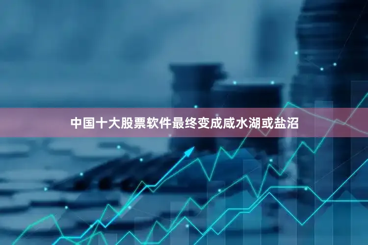 中国十大股票软件最终变成咸水湖或盐沼